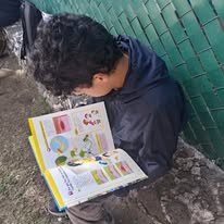 Galería Colegio Xiinbal 7